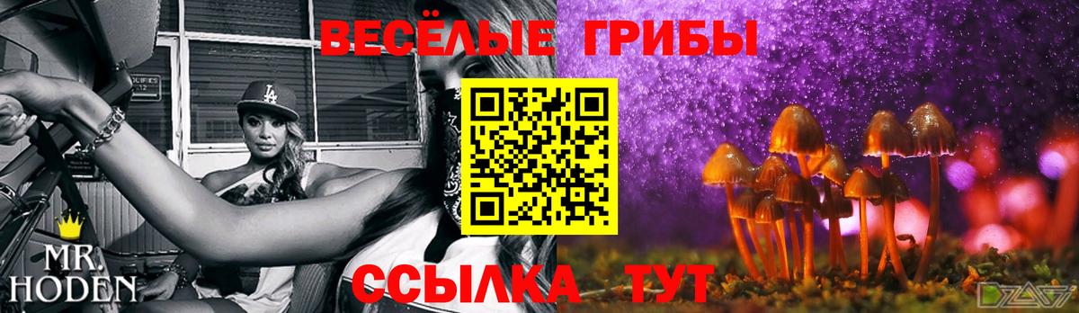 Псилоцибиновые грибы ЛСД Калининград