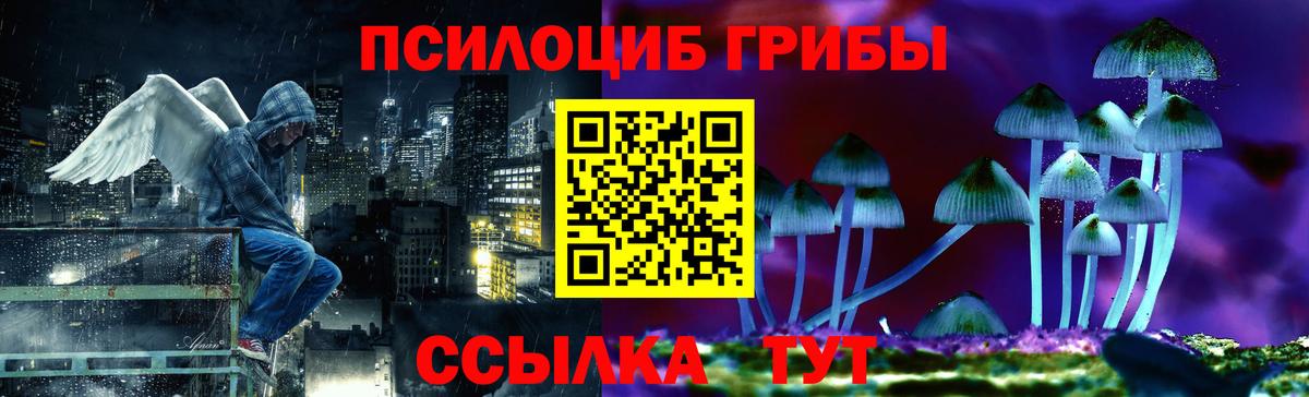 Галлюциногенные грибы мицелий  Вход с VPN  Калининград 